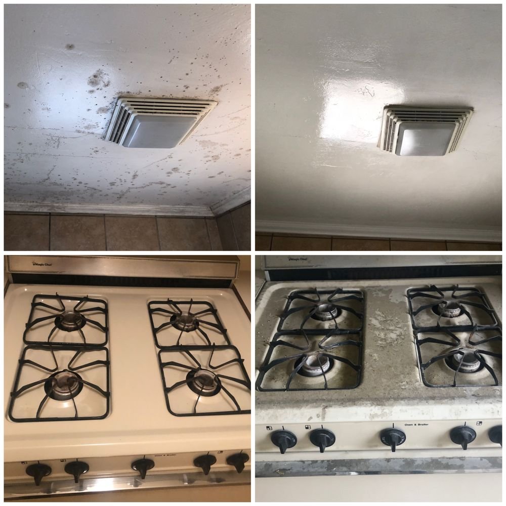 mold removal los angeles